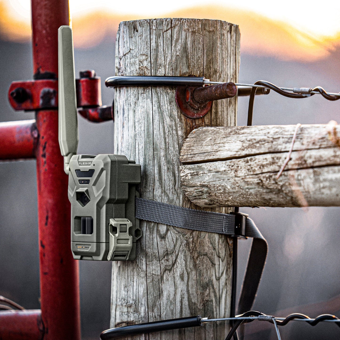 SPYPOINT FLEX - M Wildkamera - Spypoint - Wildnissport