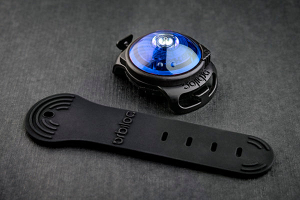 Dog Dual Safety Light Blau
