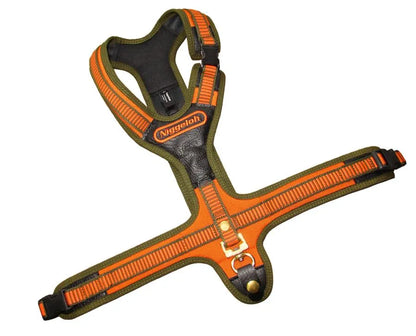 Niggeloh Hundeführgeschirr Follow orange/olive L