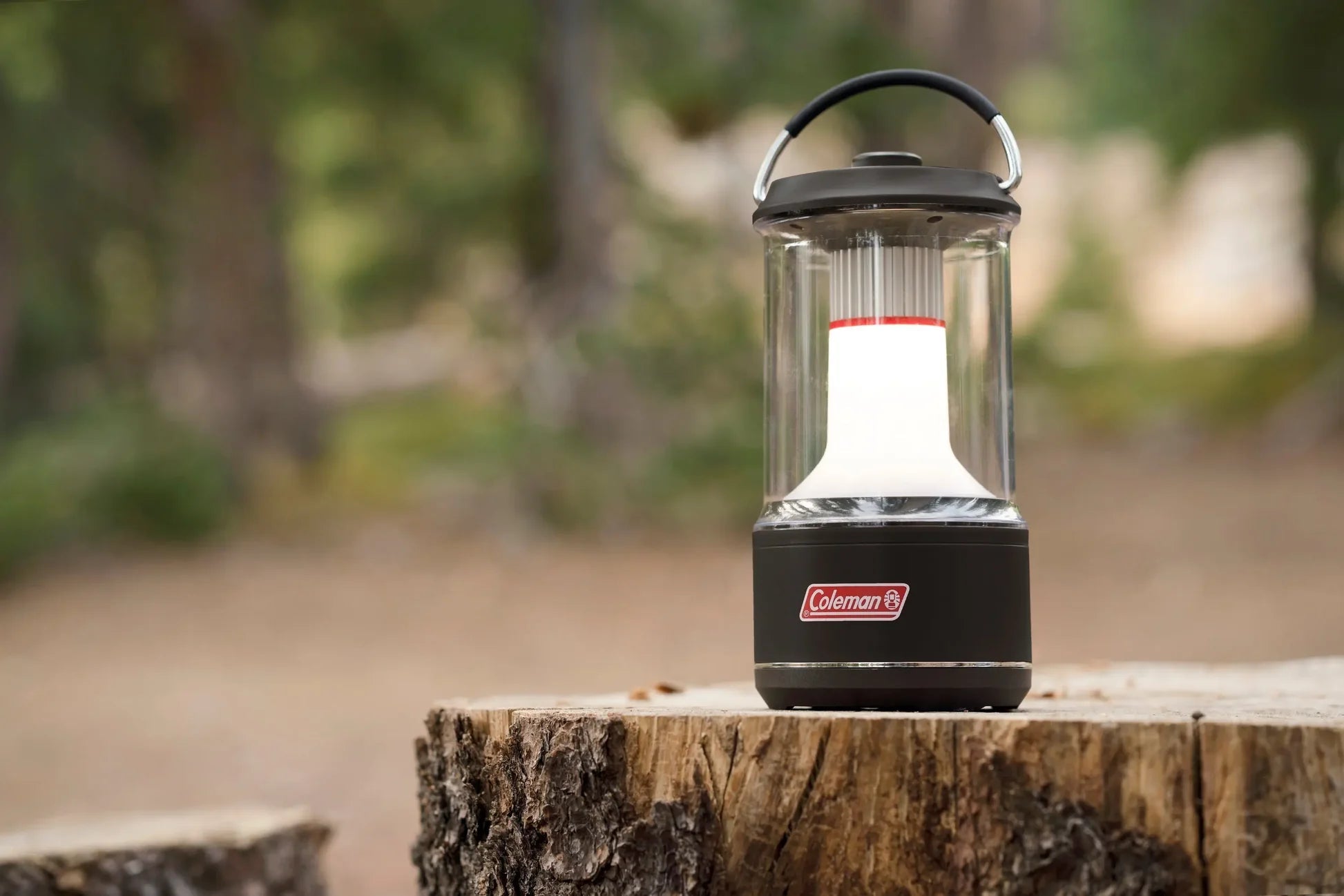 Coleman BatteryGuard Laterne 600L schwarz - Coleman - Wildnissport