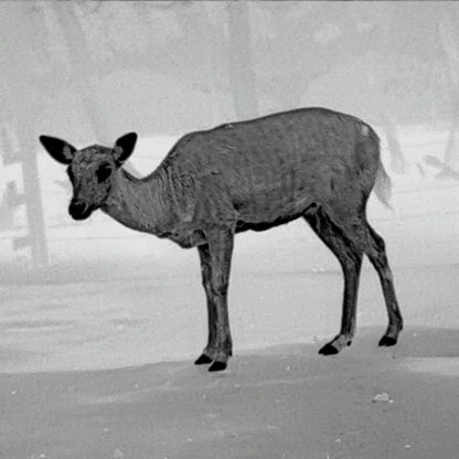 Leopard 480 Wärmebild - Monokular 25mm - PARD - Wildnissport