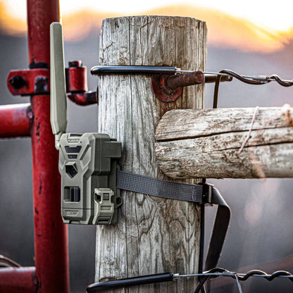 SPYPOINT FLEX - M Wildkamera - Spypoint - Wildnissport