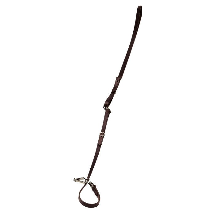 Umhäge - oder Führleine, Leder braun - 16 mm breit Hundeleine - Fritzmann - Wildnissport