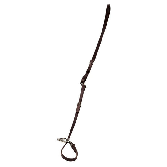 Umhäge - oder Führleine, Leder braun - 16 mm breit Hundeleine - Fritzmann - Wildnissport