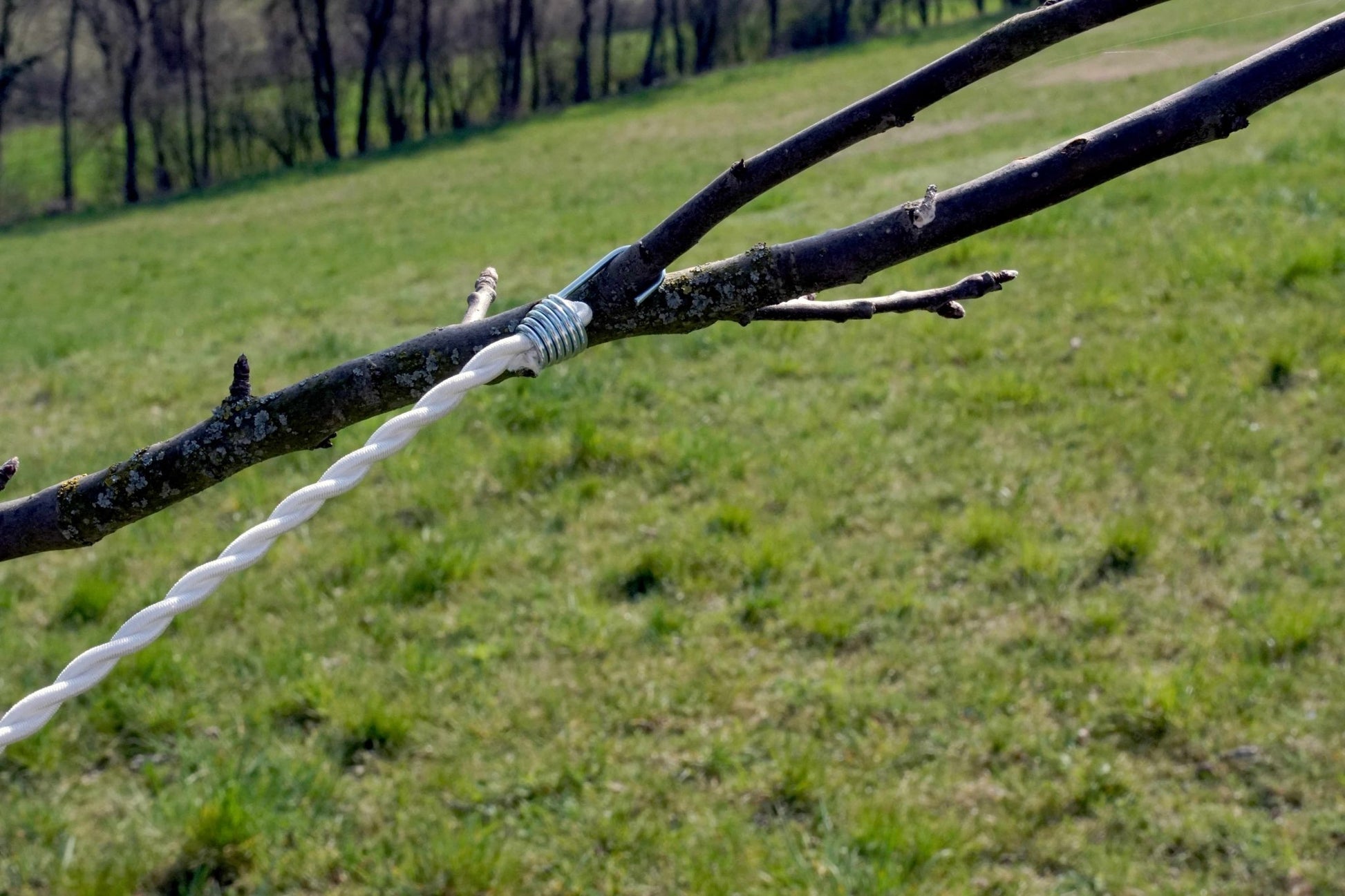 Wächeleinen-Expander - Basic Nature - Wildnissport